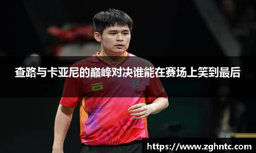 乐发官网