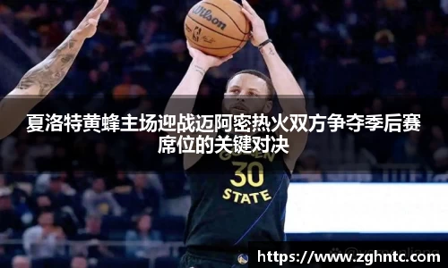 乐发Vll官网
